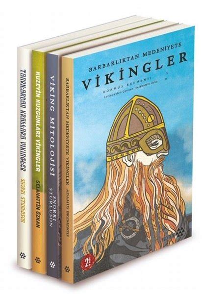 Vikings kitap